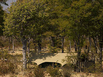 Selinda Explorers Camp: Einzelnes Gästezelt Selinda Explorers Camp: Einzelnes Gästezelt