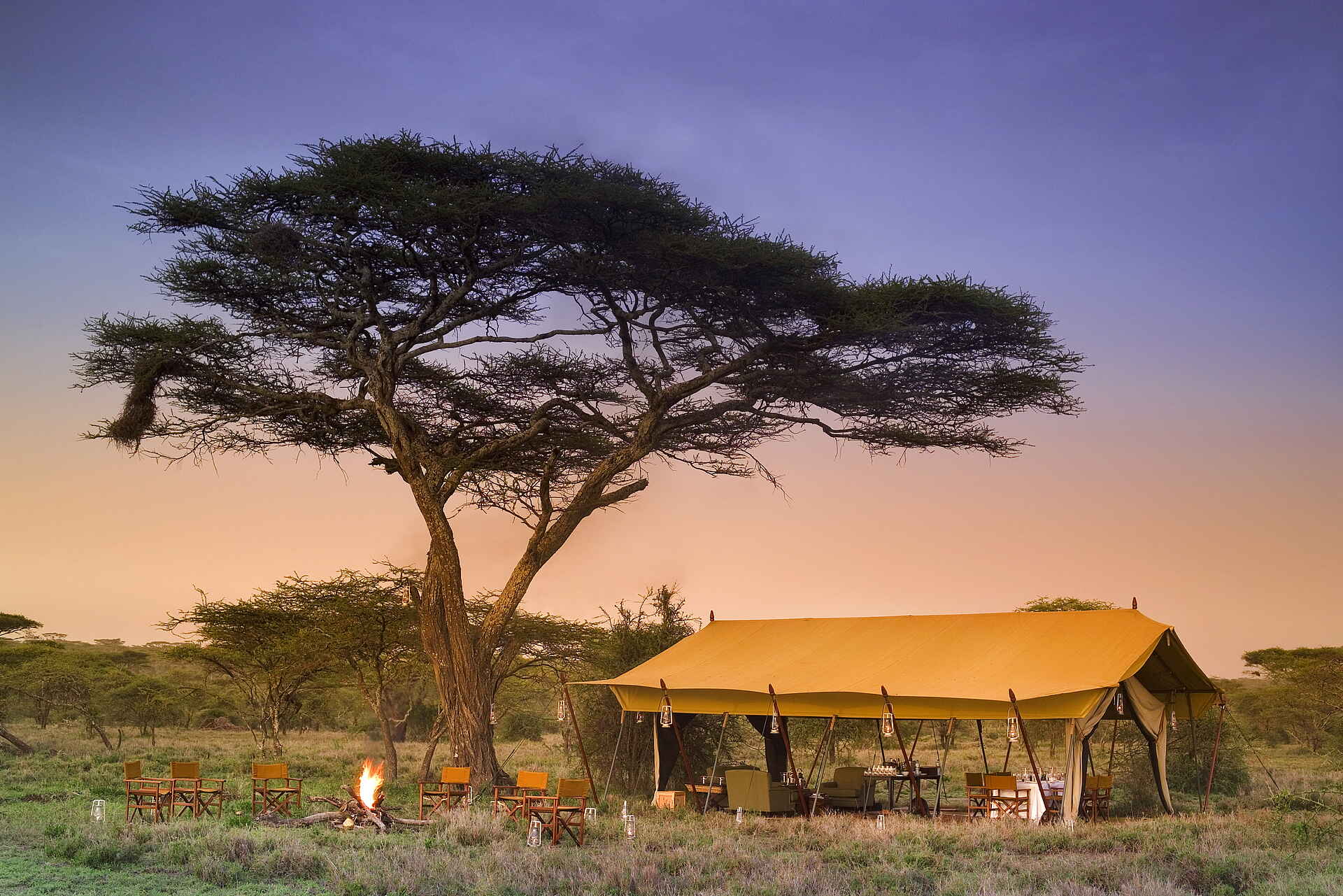 Exterior, Lodge, Night, &Beyond, andbeyond, Serengeti under Canvas, Zeltcamp, Tanzania, Afrikarma, Afrikarma Safaris, afrikarma Safaris - Wildnis. Hautnah., Afrikarma.de