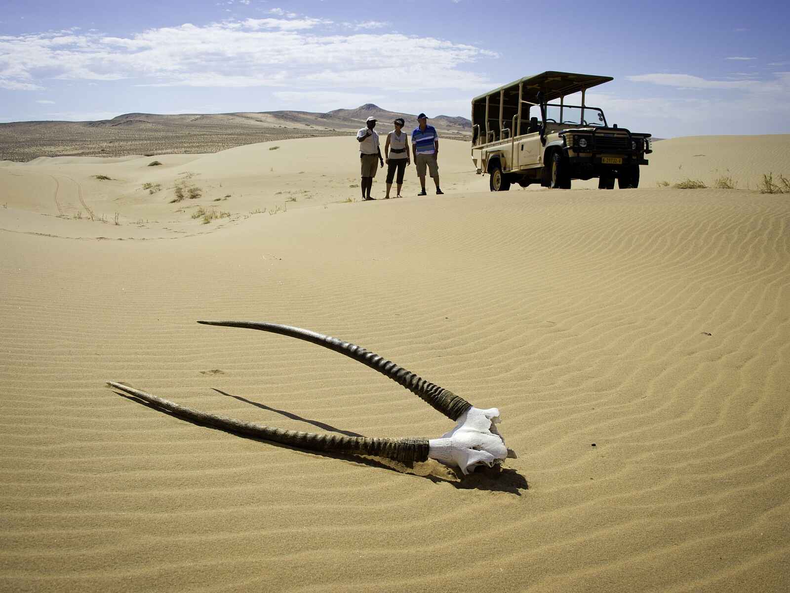 Serra Cafema: Oryxgehörn Serra Cafema: Oryxgehörn