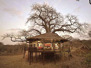 Tarangire Treetops: Gäste-Baumhaus