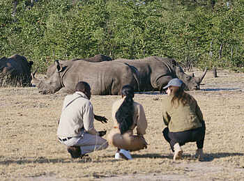 Tongabezi Lodge: Eine Wandersafari