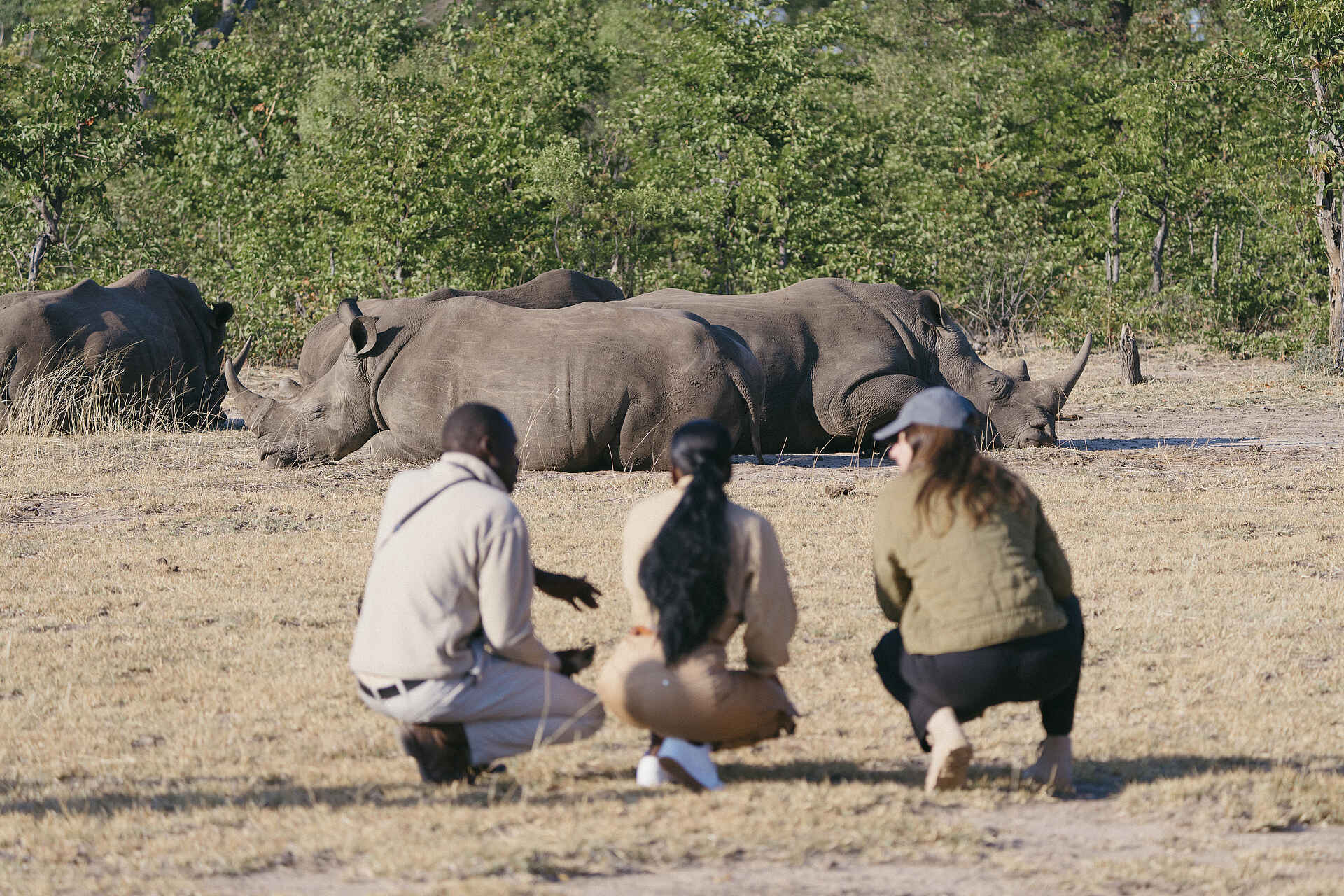 Tongabezi Lodge: Eine Wandersafari