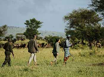 Wilderness Usawa Serengeti: Wandersafari Wilderness Usawa Serengeti: Wandersafari