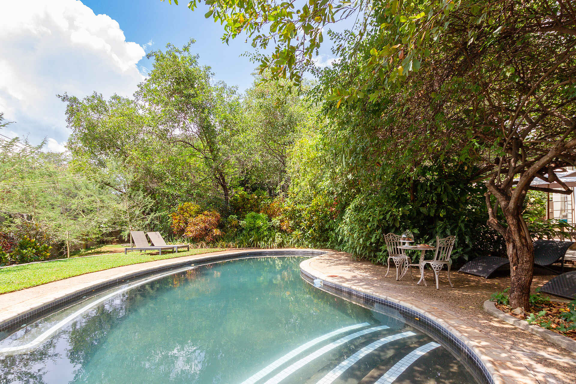 528 Victoria Falls Guesthouse: Der große Pool im Garten 528 Victoria Falls Guesthouse: Der große Pool im Garten