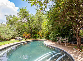 528 Victoria Falls Guesthouse: Der große Pool im Garten