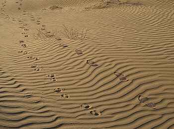 Damaraland Camp: Gerippter Sand