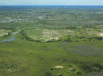 Duba Plains Camp: Die Ebenen im Norden des Okavango-Deltas