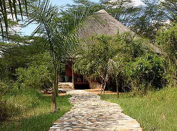 Enjojo Lodge: Gepflasterter Weg