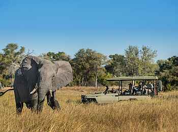 Elephant Pan Camp: Auf Pirschfahrt