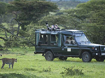Kicheche Mara Camp: Game Drive Kicheche Mara Camp: Game Drive
