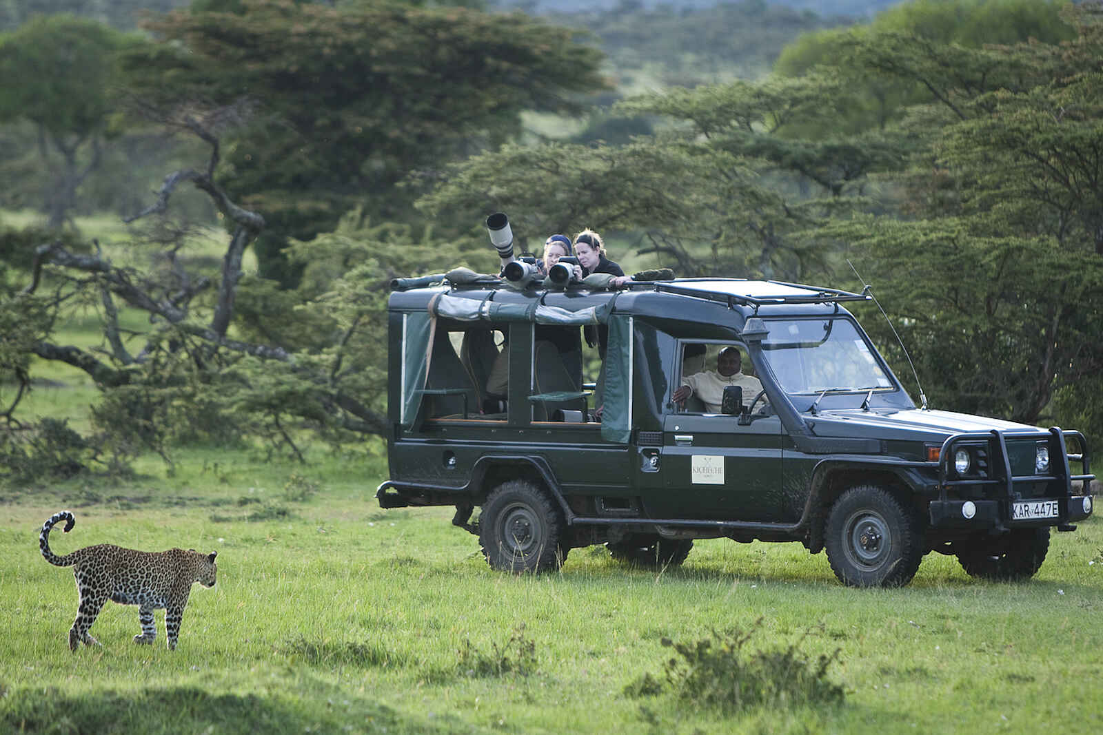 Kicheche Mara Camp: Game Drive Kicheche Mara Camp: Game Drive