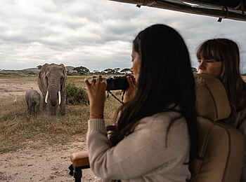 Kitirua Plains Lodge: Elefant mit Baby fotografieren