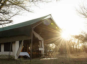 Kusini Serengeti Camp: Gästezelt