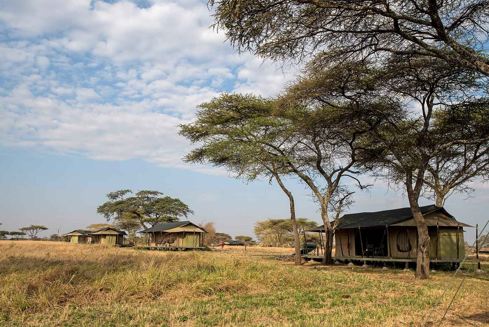 Ole Serai Luxury Camp - Turner Springs: Blick auf ein Gästezelt Ole Serai Luxury Camp - Turner Springs: Blick auf ein Gästezelt