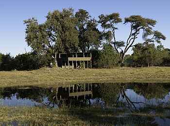 Savuti Camp: Beobachtungsstand