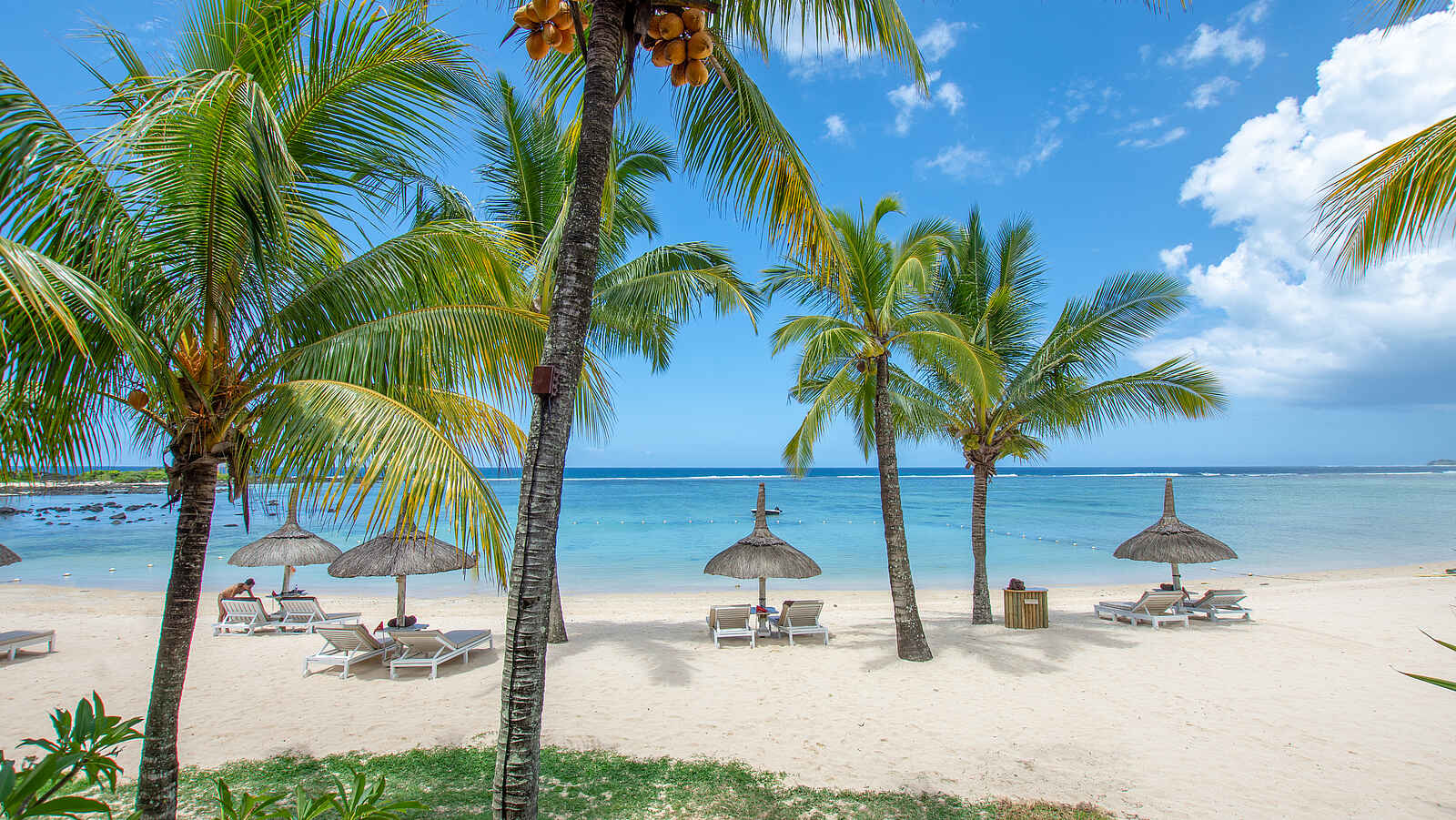 Shanti Maurice Resort & Spa: Der Strand mit Palmen Shanti Maurice Resort & Spa: Der Strand mit Palmen
