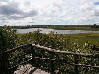 Wasa Lodge: Aussichtsplattform