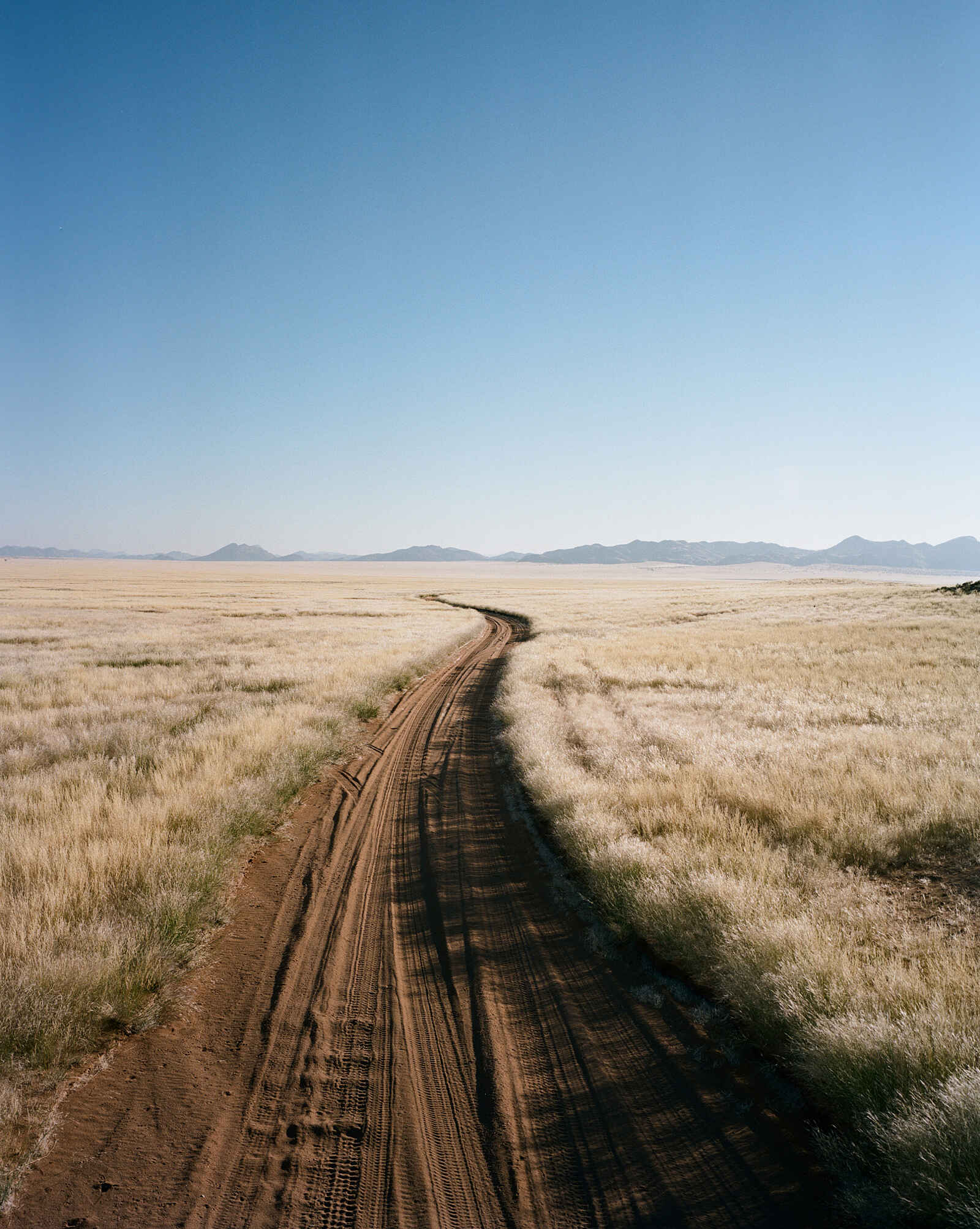 Hoanib Valley Camp: Track durch eine Savannenlandschaft Hoanib Valley Camp: Track durch eine Savannenlandschaft