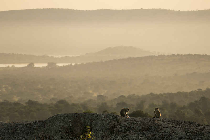 Mihingo Lodge: Aussicht Mihingo Lodge: Aussicht