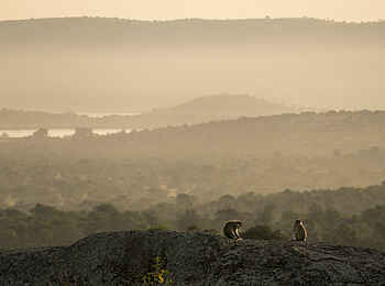 Mihingo Lodge: Aussicht Mihingo Lodge: Aussicht