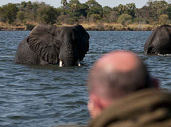 Ntemwa Busanga Bushcamp: Elefanten im Fluss