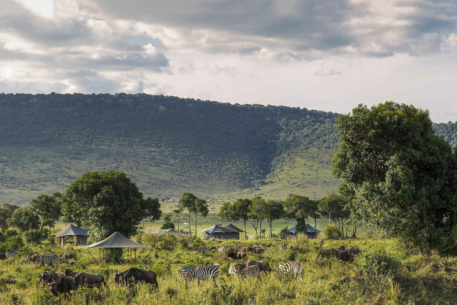 Angama Safari Camp: Lage