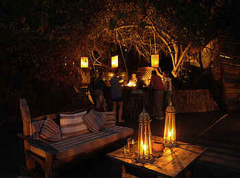 Greystoke Mahale: An der Bar