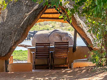 Ivory Lodge: Blick aus dem Hide Ivory Lodge: Blick aus dem Hide