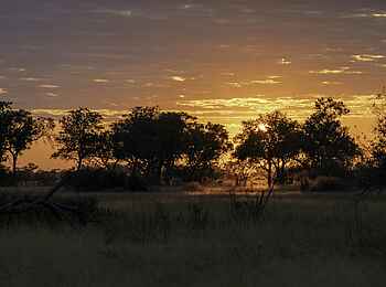 Kiri Camp: Sonnenuntergang im Delta Kiri Camp: Sonnenuntergang im Delta