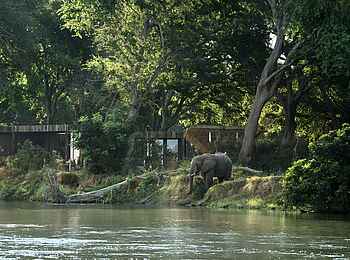 Lolebezi Lodge: Elefant vor der Lodge