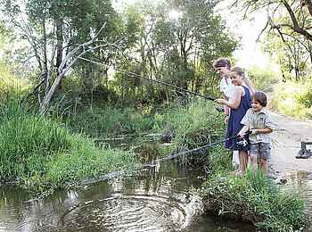Londolozi Tree Camp: Angelausflug