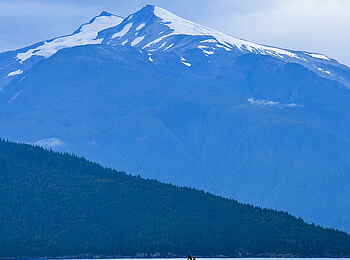 Tweedsmuir Park Lodge: Ausflug an der Küste
