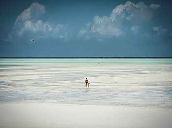 Zanzibar White Sand Luxury Villas: Strand und Indik Zanzibar White Sand Luxury Villas: Strand und Indik