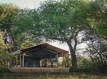 Kusini Serengeti Camp: Gästezelt Vorderansicht