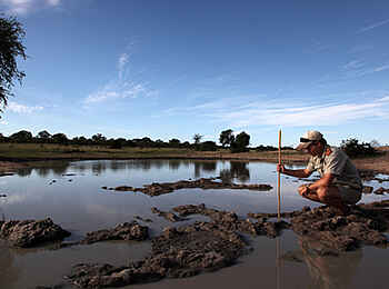 MalaMala Rattrays Camp: Buschwanderung am Fluss MalaMala Rattrays Camp: Buschwanderung am Fluss