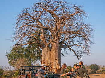 Time + Tide Chongwe: Rast unterm Baobab