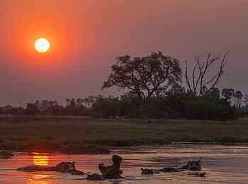 Camp Tawana: Sonnenuntergang