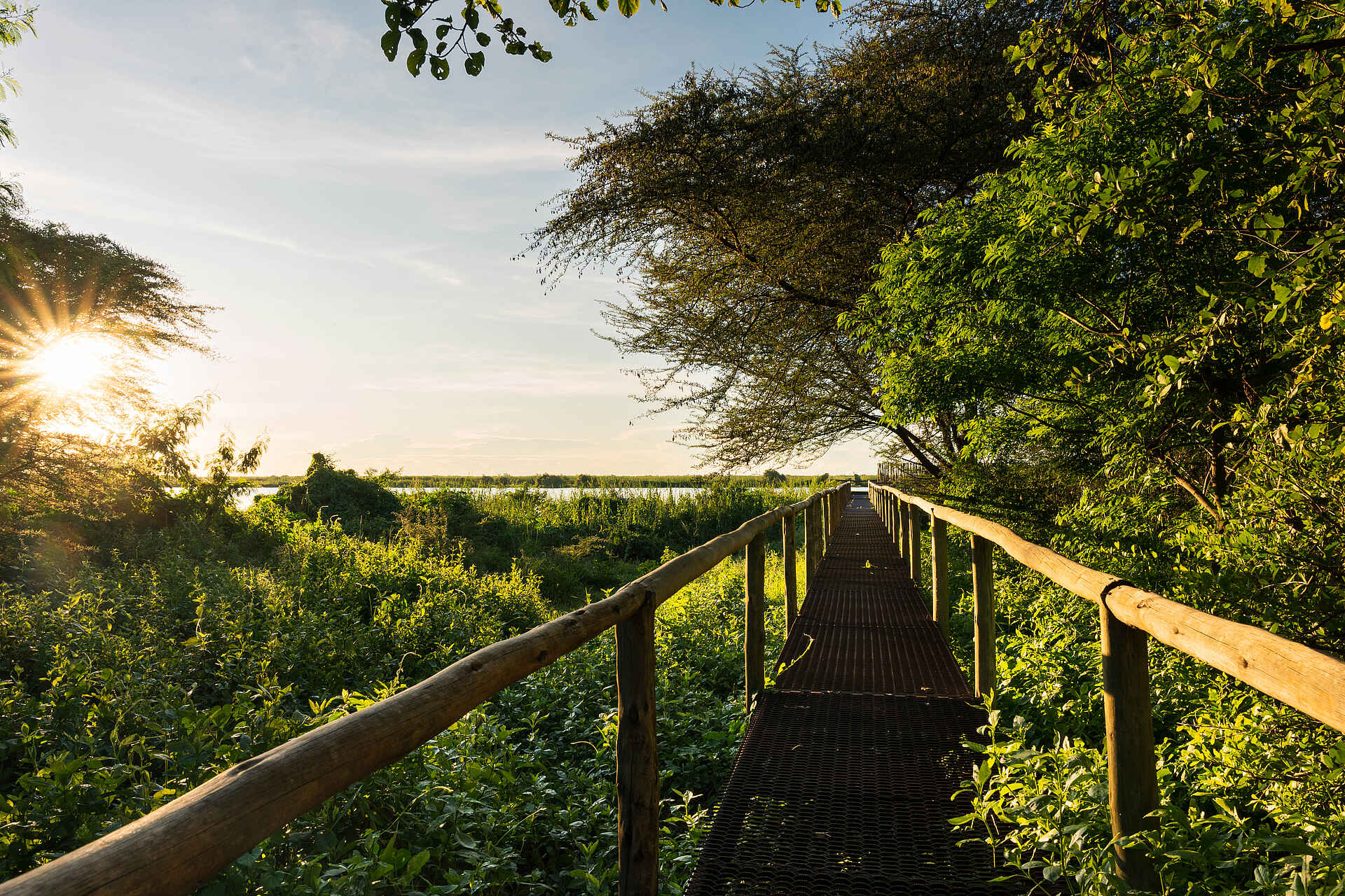 Chobe River Lodge: Weg zwischen den Einrichtungen Chobe River Lodge: Weg zwischen den Einrichtungen