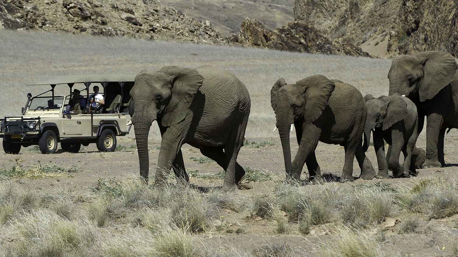 Doro Nawas Camp: Elefanten im Aba-Huab-Tal Doro Nawas Camp: Elefanten im Aba-Huab-Tal