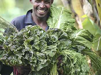 Klein's Camp: Gemüse-Ernte