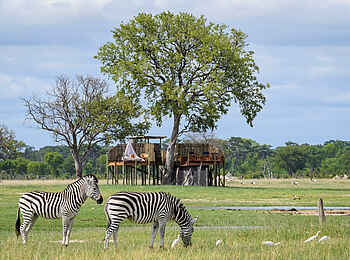 Linkwasha Camp: Tiersichtungen am Sleepoutdeck Linkwasha Camp: Tiersichtungen am Sleepoutdeck