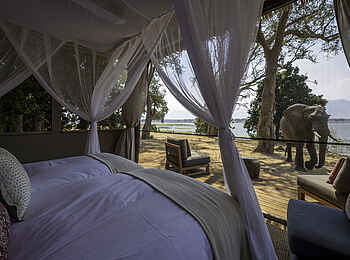 Little Ruckomechi Camp: Elefant unmittelbar vor einem Gästezelt