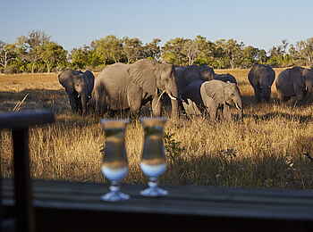 Little Sable Camp: Elefanten am Camp Little Sable Camp: Elefanten am Camp