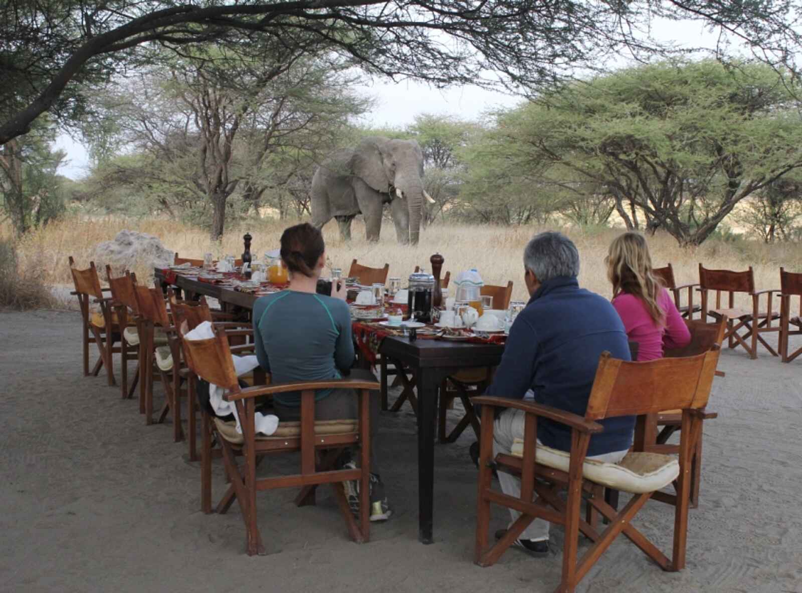 Manyara Ranch: Lunch mit Elefantenbesuch Manyara Ranch: Lunch mit Elefantenbesuch