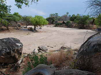 Mwagusi Safari Camp: Blick auf das Camp
