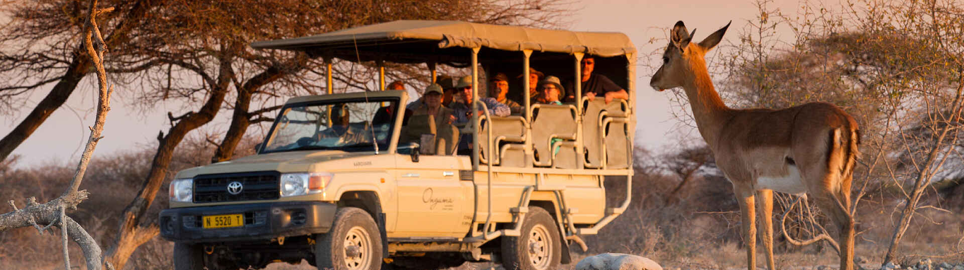 Auf Pirschfahrt unterwegs