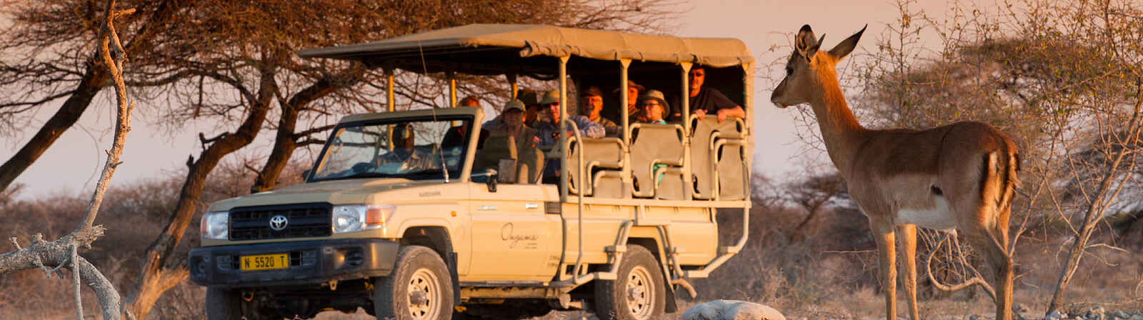 Onguma Camp Kala: Pirschfahrt Onguma Camp Kala: Pirschfahrt