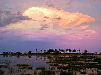 Sitatunga Private Island Suite: Abendstimmung im Delta Sitatunga Private Island Suite: Abendstimmung im Delta