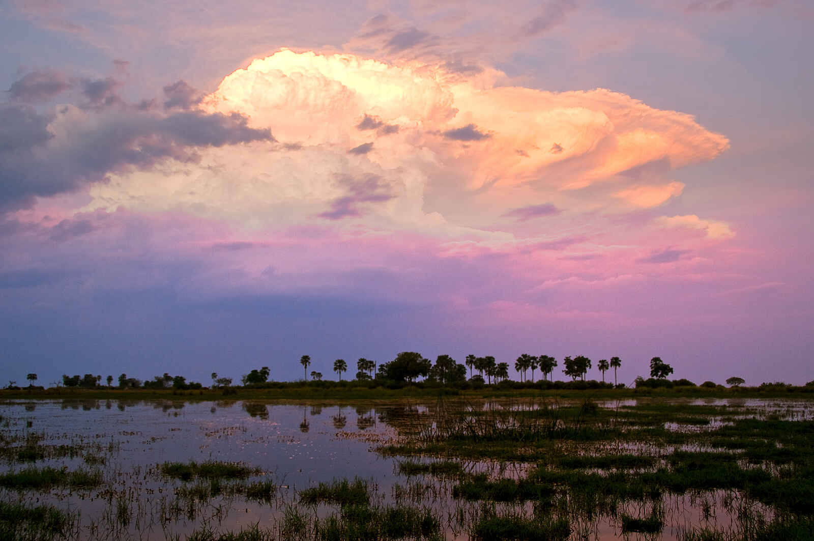 Sitatunga Private Island Suite: Abendstimmung im Delta Sitatunga Private Island Suite: Abendstimmung im Delta