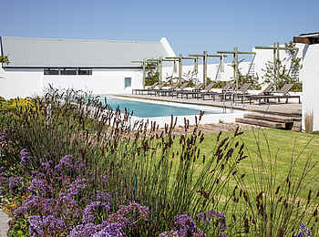 Strandloper Ocean Boutiquehotel: Der Pool